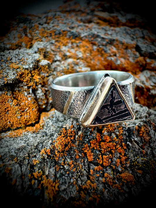 Aletai meteorite 14k gold and silver ring, size 12