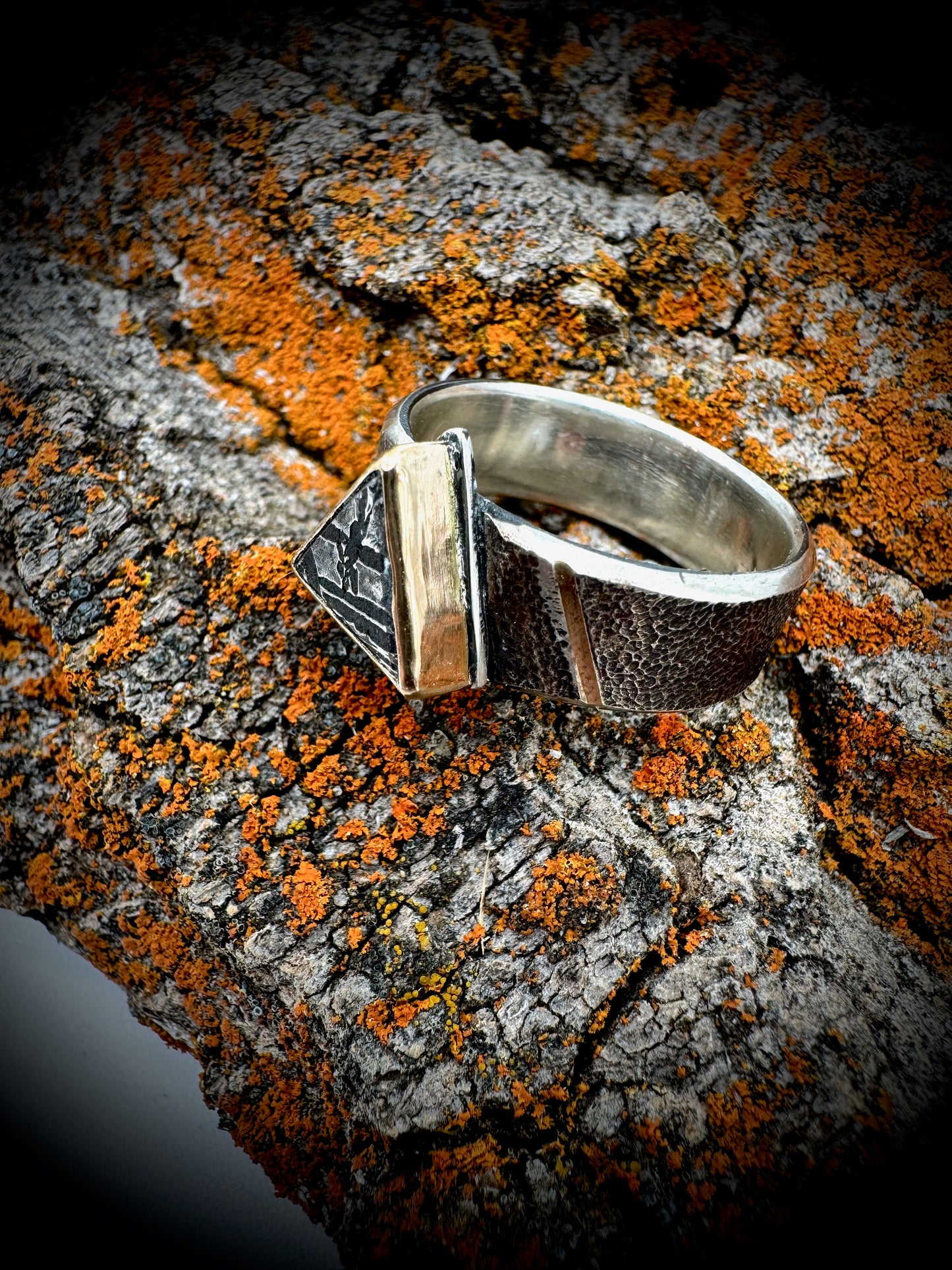 Aletai meteorite 14k gold and silver ring, size 12