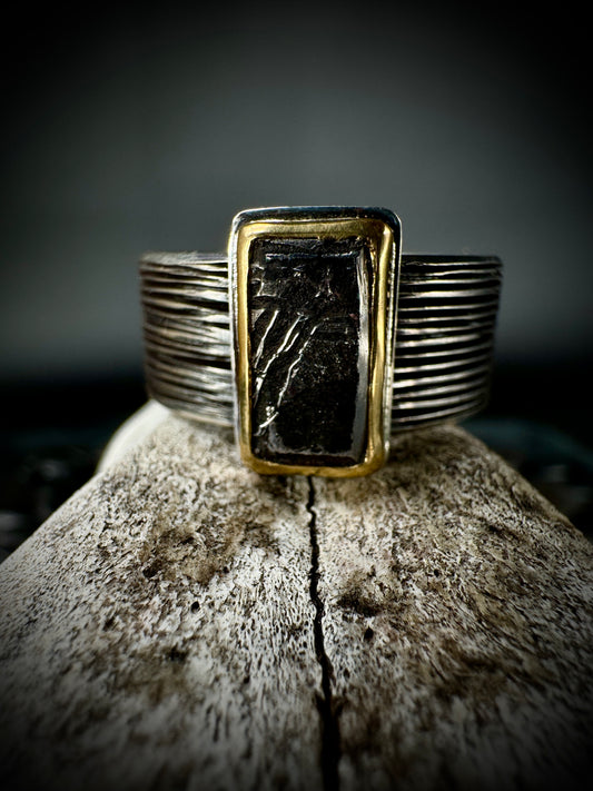 Aletai Meteorite ring size 13.5